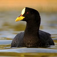 HUMEDALES Santiago Vázquez