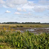 HUMEDALES Santiago Vázquez