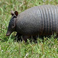 HUMEDALES Santiago Vázquez