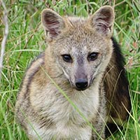 HUMEDALES Santiago Vázquez