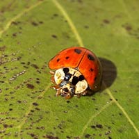 HUMEDALES Santiago Vázquez