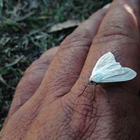 HUMEDALES Santiago Vázquez