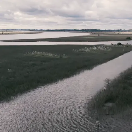 Humedales del Santa Lucía